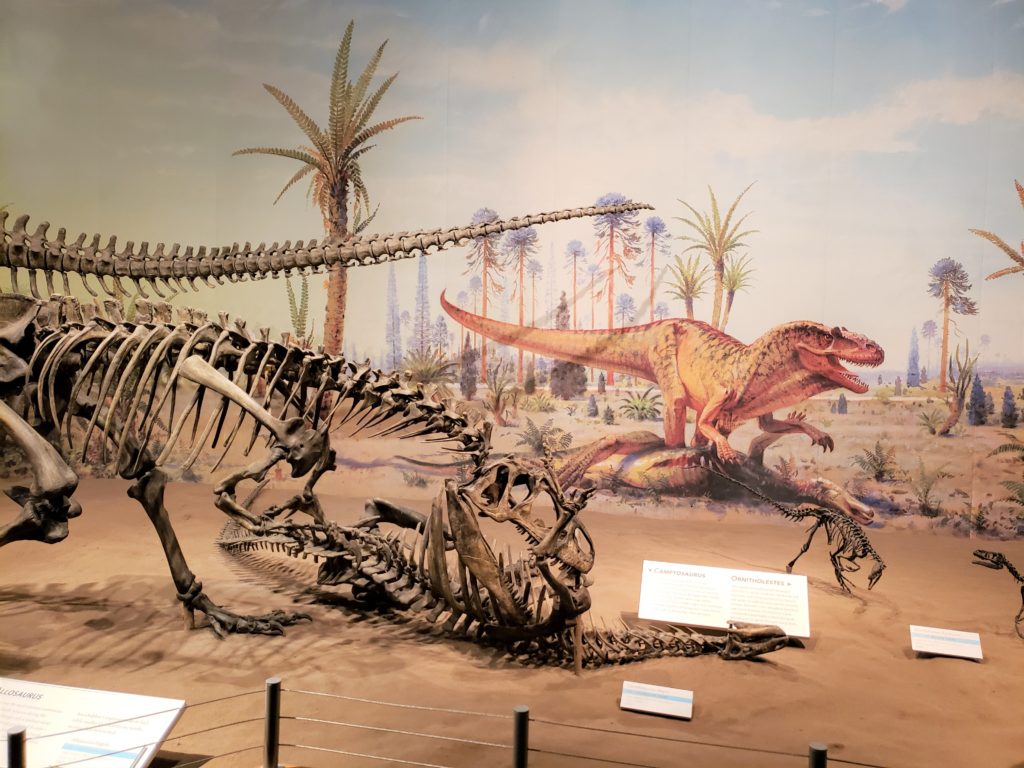 Recreación de los dinosaurios en el museo Tyrrell